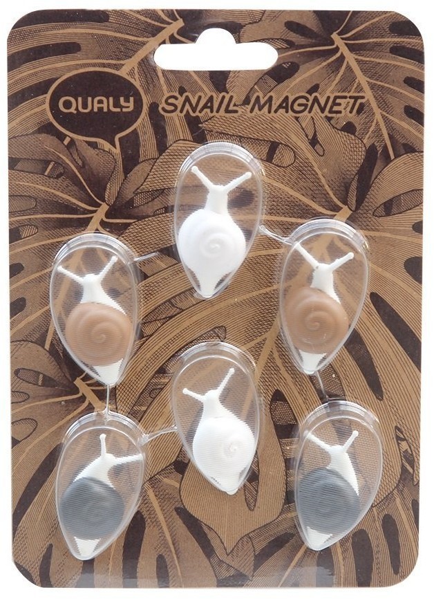 Набор магнитов snail, 6 шт. (62166)