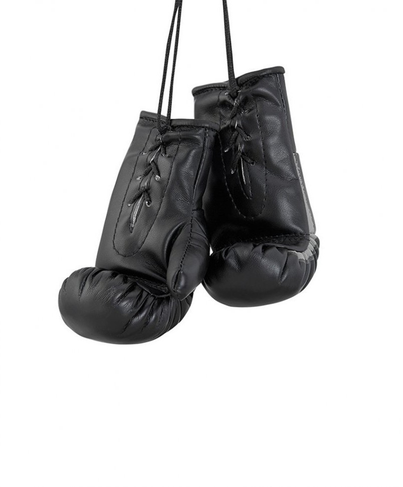 Перчатки боксерские AG-1008FBR сувенирные, черный (2072890)