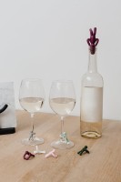 Набор для вина drinking buddy, 7 эл. (38551)