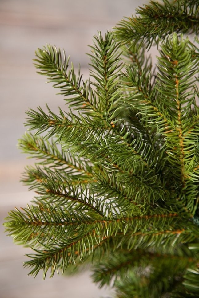 Триумф можжевельник 260 см зеленый (72048)