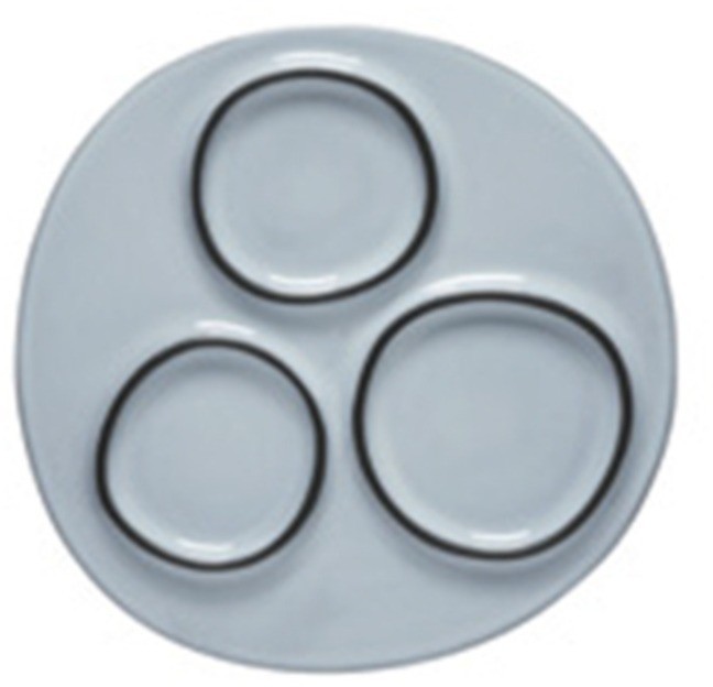 Тарелка 1ABD201e-01816G, 20 см, керамика, SALT OF THE SEA, Costa Nova