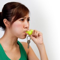 Держатель для ключей duo sparrow, белый/желтый (39238)