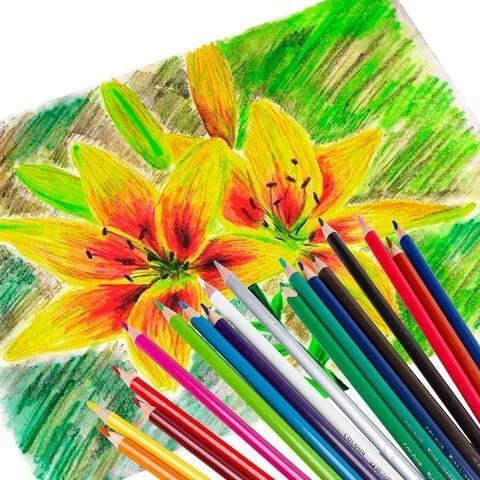 Карандаши цветные трехгранные 18 цветов 3,3 мм 181652 (4) (86085)