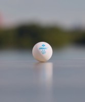 Мяч для настольного тенниса Donic 2* Prestige, белый 6 шт. (1035746)