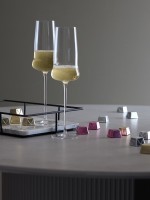 Набор бокалов для шампанского в подарочной упаковке sense, 360 мл, 2 шт. (78662)