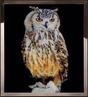 Картина Сова мини с кристаллами Swarovski (2360)