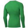 Футболка компрессионная с длинным рукавом PerFormDRY Baselayer Tee LS 2, зеленый (2117434)