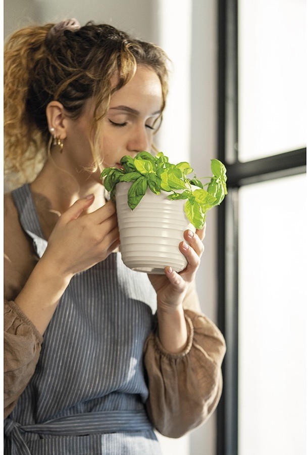 Кашпо для комнатных растений tierra, серо-бежевое (75515)