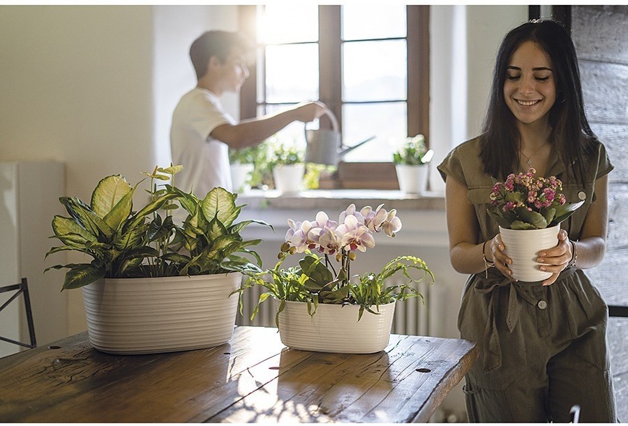 Кашпо для комнатных растений tierra, серо-бежевое (75515)
