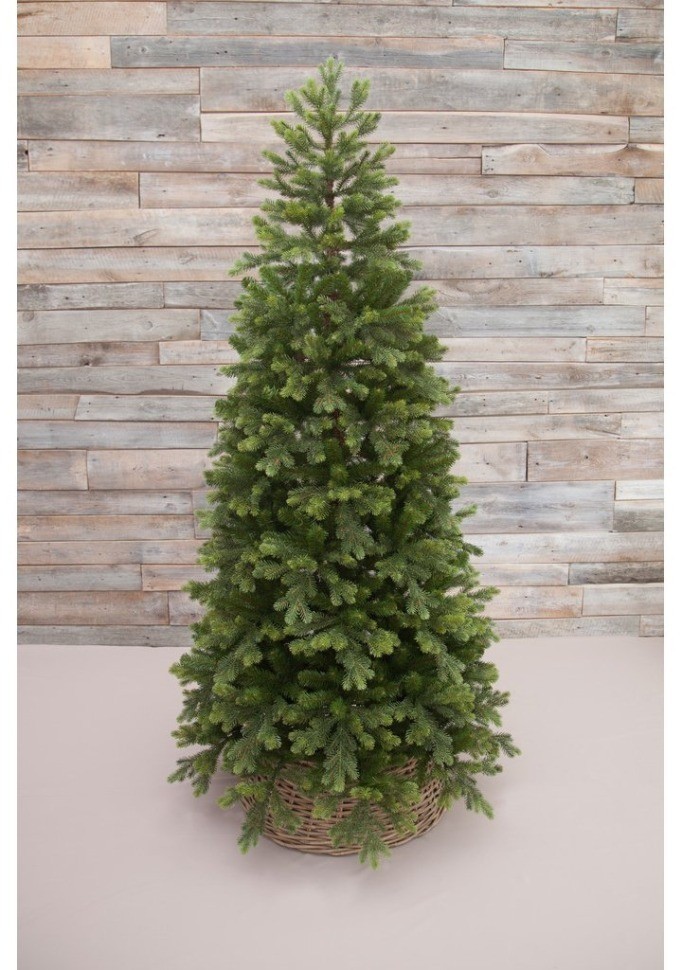 Триумф ель уэльская 185 см зеленая (73555)