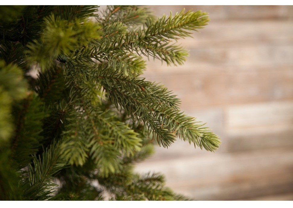 Триумф ель уэльская 185 см зеленая (73555)