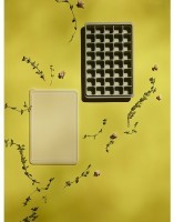 Форма для льда ice cubes, шалфей (77410)