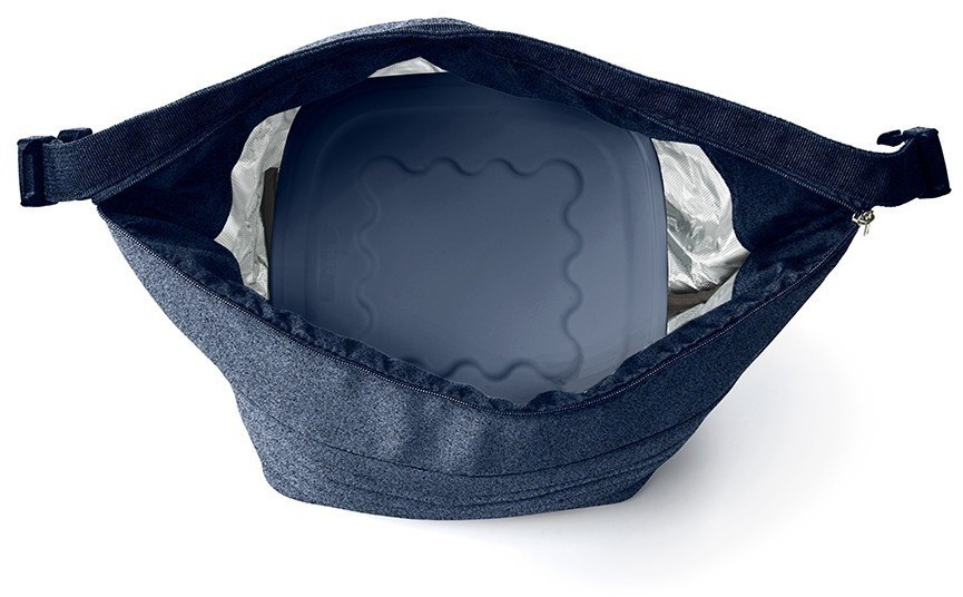 Набор из термосумки и контейнера handy bio, 1,4 л, синий (79095)