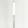 Настольная лампа-светильник Sonnen PH-3607 LED 9 Вт метал. корпус серый 236686 (89630)