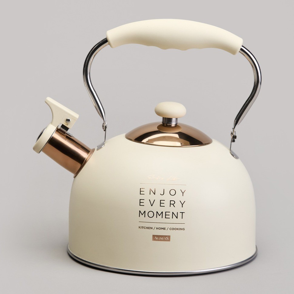 Чайник agness со свистком 2,5 л,нжс индукция (914-160)