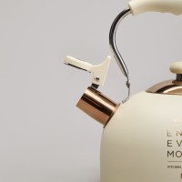 Чайник agness со свистком 2,5 л,нжс индукция (914-160)