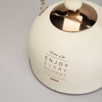 Чайник agness со свистком 2,5 л,нжс индукция (914-160)