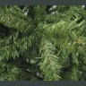 Ель Royal Christmas Promo Tree Standard hinged 29210 (210см) (54202)