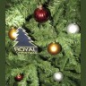 Ель Royal Christmas Promo Tree Standard hinged 29210 (210см) (54202)