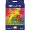 Карандаши цветные трехгранные Brauberg Цветы 18 цветов 181289 (4) (65744)
