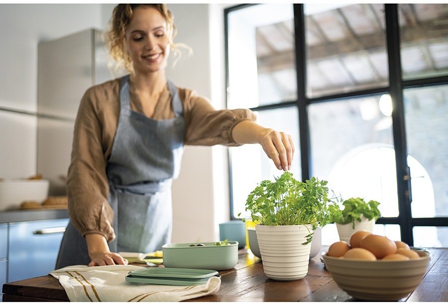 Кашпо для комнатных растений tierra, бежевое (75513)