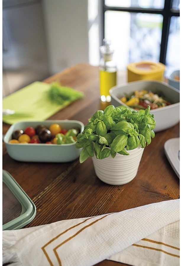 Кашпо для комнатных растений tierra, бежевое (75513)