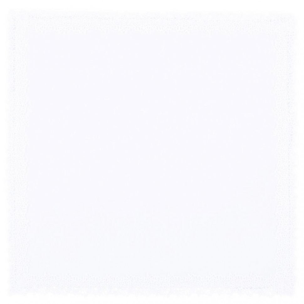 Набор салфеток из 2-х шт в корзине "ассоль" 40х40см  белый, х/б 100%, кружево SANTALINO (850-840-82)