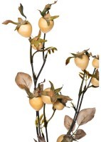 Ветка с плодами шиповника 74см (24) (TT-00006444)