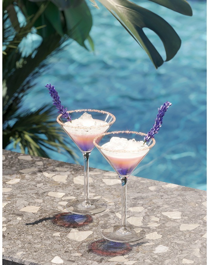 Бокал из тритана grace для мартини и коктейлей, 250 мл (77567)