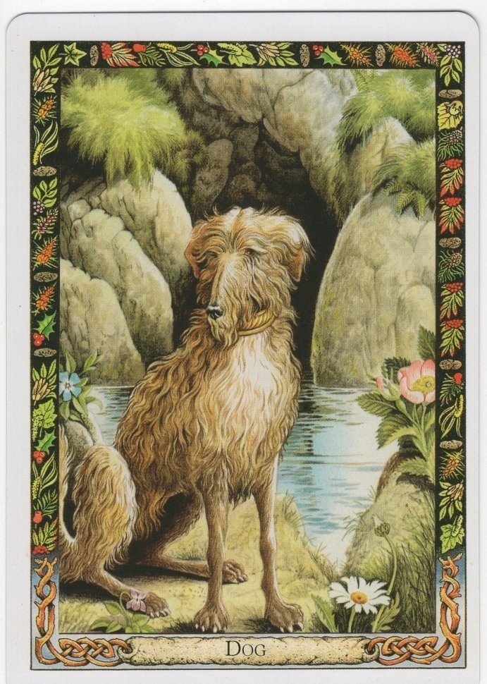 Карты Таро "Druid Animal Oracle Deck Reissue" Welbeck Publishing / Переиздание Колоды Друидов Животных Оракулов (47135)