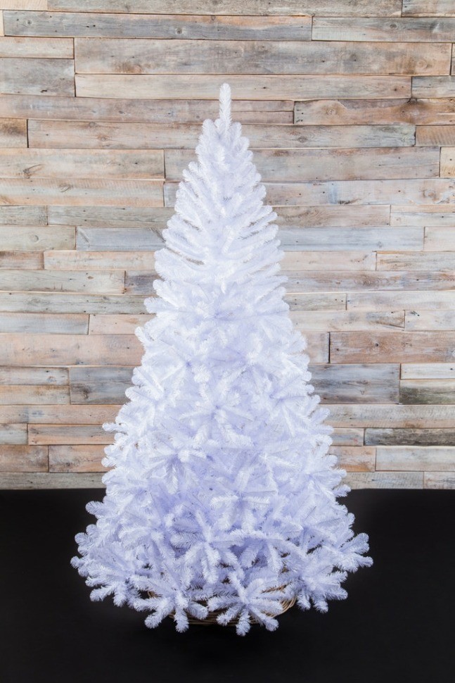 Триумф сосна санкт-петербург 120 см белая (72006)