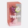 Ваза для цветов venus, 31 см, розовая (75727)