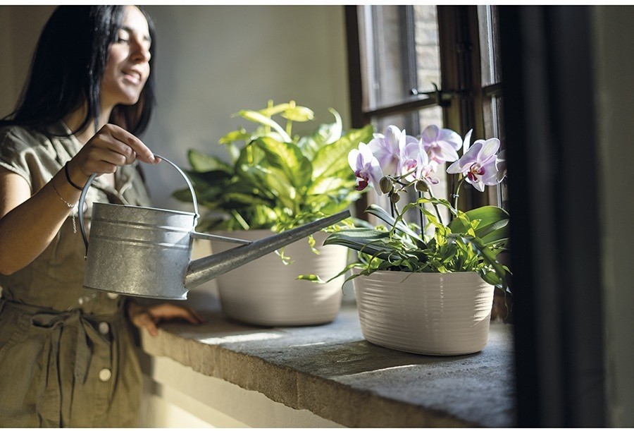 Кашпо для комнатных растений большое tierra, бежевое (75507)