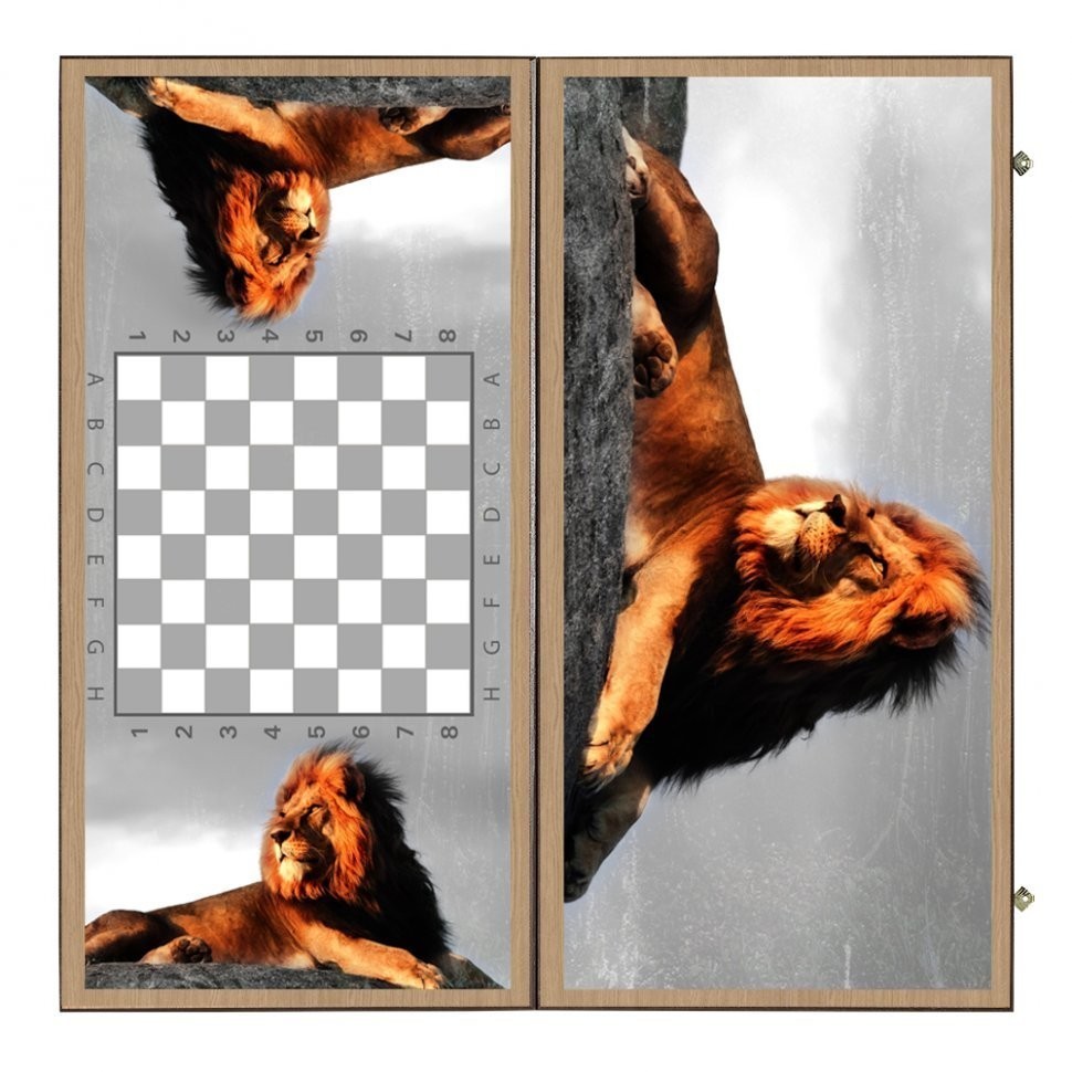 Нарды + Шашки Сирия Лев в Саванне большие (Россия, дерево, 60 см), Partida (64225)