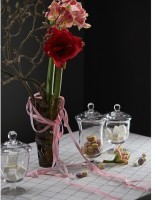 Бонбоньерка sugary в подарочной упаковке, 29,3 см (76177)