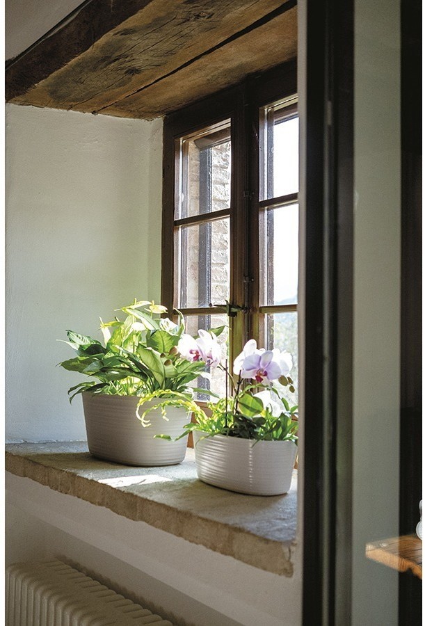 Кашпо для комнатных растений большое tierra, молочное (75508)