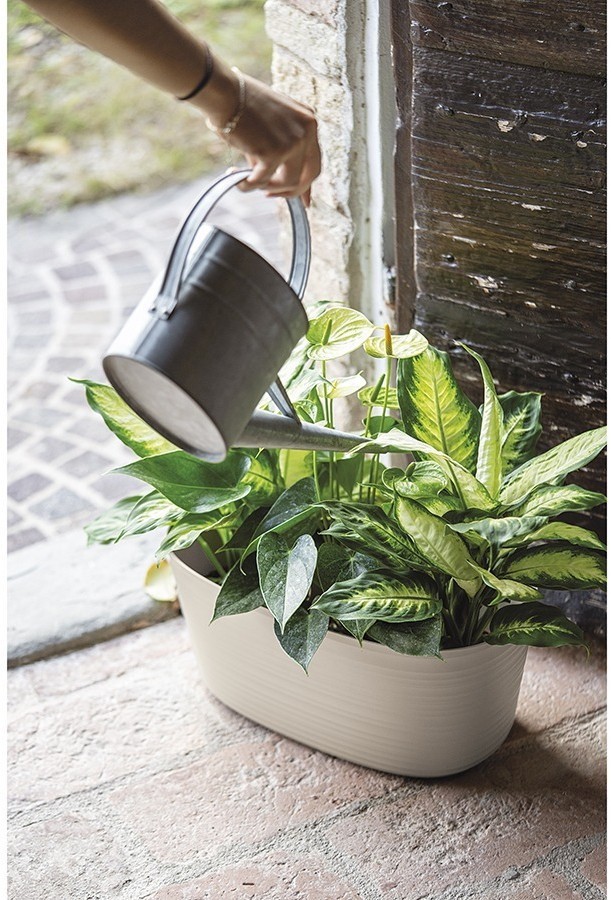 Кашпо для комнатных растений большое tierra, молочное (75508)