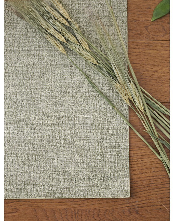 Набор из 4-х сервировочных салфеток leanera, 30х45 см, мятные (76982)