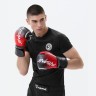 Перчатки боксерские INSANE IMPACT, красный, 14 oz (2115679)