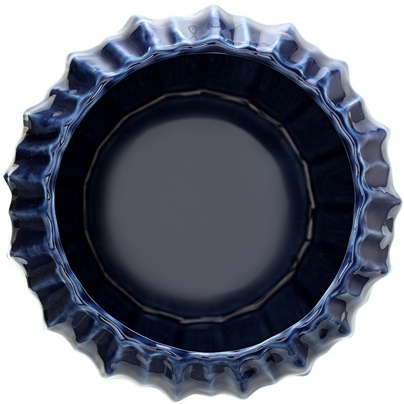 Набор из 2 салатников actinia синего цвета из коллекции sea treasures, 640 мл (78787)