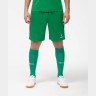 Гетры футбольные JA-003, зеленый/белый (623415)