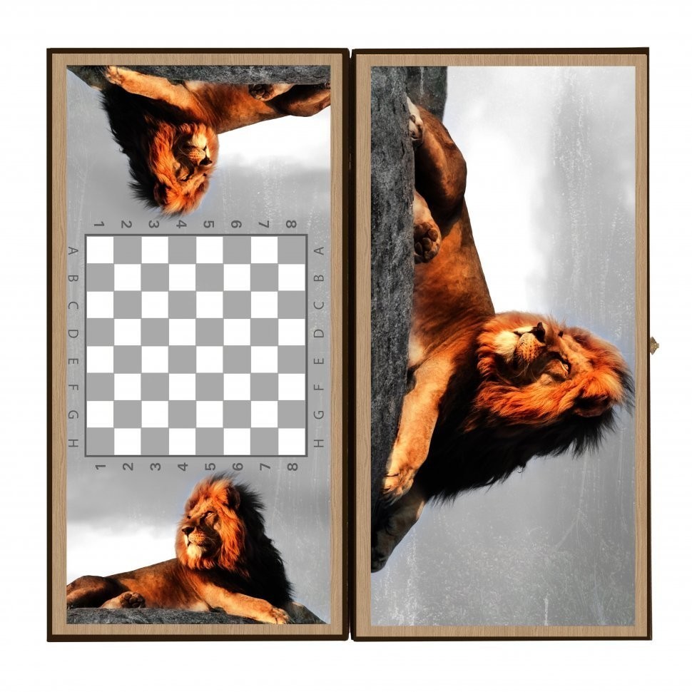 Нарды + Шашки Сирия Лев в Саванне средние (Россия, дерево, 50 см), Partida (64224)