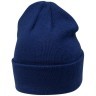 Шапка ESSENTIAL PerFormDRY High Beanie, тёмно-синий (910098)