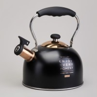 Чайник agness со свистком 2,5 л,нжс индукция (914-162)