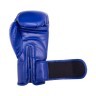 Перчатки боксерские REX BGR-2272, 10 oz, синий (434416)