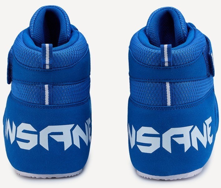 Обувь для бокса INSANE RAPID низкая, синий, детский (2117323)