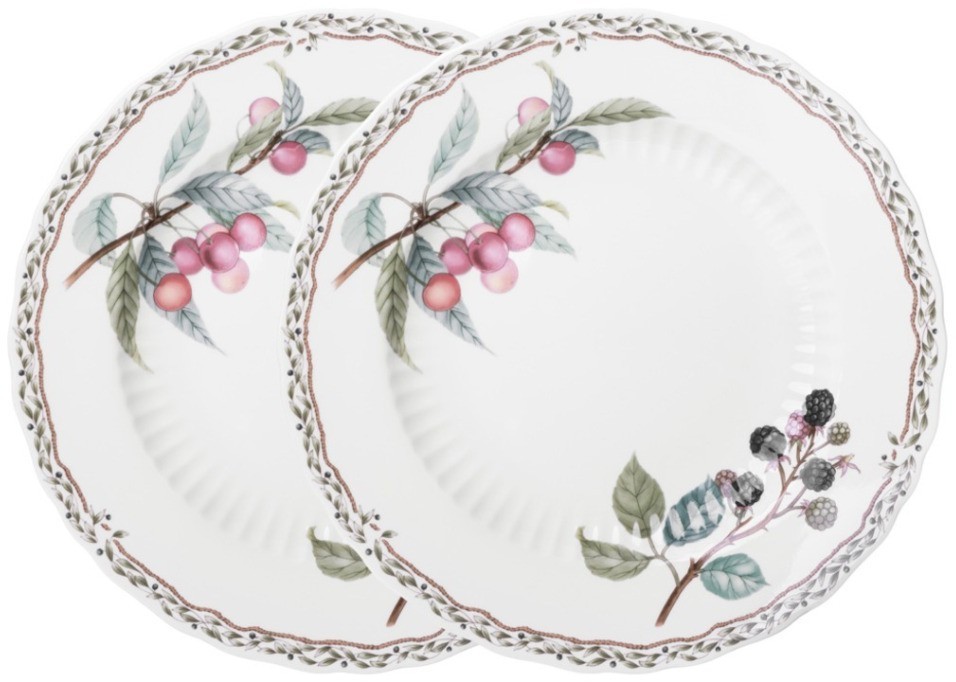 Набор тарелок обеденных lefard "fruit garden" 2 шт. 25,5 см (590-648)