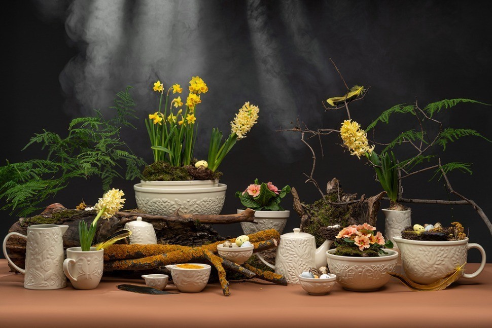 Набор кружек birds of paradise, 500 мл, кремовые, 2 шт. (75076)