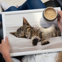 Creative Tops Поднос с подушкой Sleeping Kitten 5233655