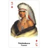 Карты "Native American Playing Cards Set One" (47097)